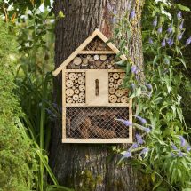 insect-house-royalty-free-image-1579870257
